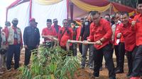 Ketua DPD PDIP Sumsel M Giri Ramandha N Kiemas saat melakukan penanaman bibit pohon di Kota Palembang Sumsel (Dok. Humas PDIP Sumsel / Nefri Inge)