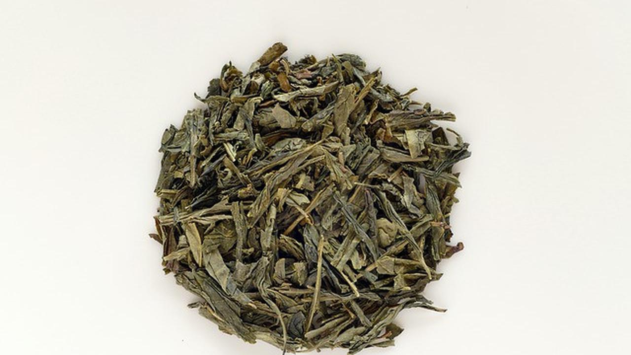 Sencha - Image by pictavio from Pixabay