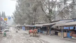 Suasana kota wisata Brastagi tertutup debu vulkanik erupsi Gunung Sinabung, Karo, Sumut, Jumat (10/10). Aktivitas Gunung Sinabung berstatus Siaga (Level III) sejak sepuluh hari terakhir meningkat. (ANTARA FOTO/Endro Lewa)