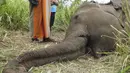 Mayat Gajah terlihat terbaring di ladang dekat desa Sigiriya, sekitar 177 km utara ibukota Kolombo (27/9/2019). Empat gajah ditemukan tewas pada 27 September di Sri Lanka tengah, dengan polisi mencurigai binatang tersebut diracun penduduk desa yang marah. (AFP/STR)