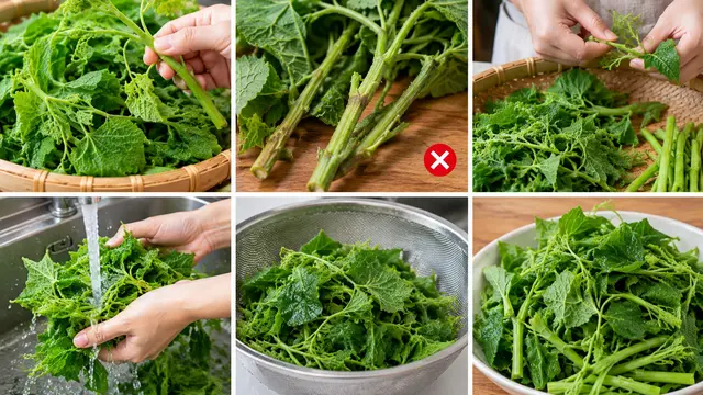 Tips Memilih Daun Labu