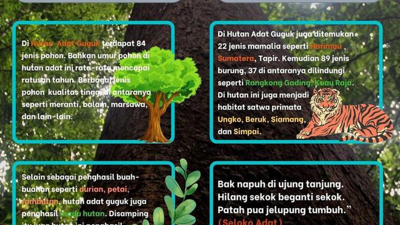 Infografis keragaman hayati Hutan Adat Guguk. (Liputan6.com/Gresi Plasmanto)