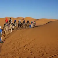 ilustrasi gurun (unsplash.com/Chris Khani)