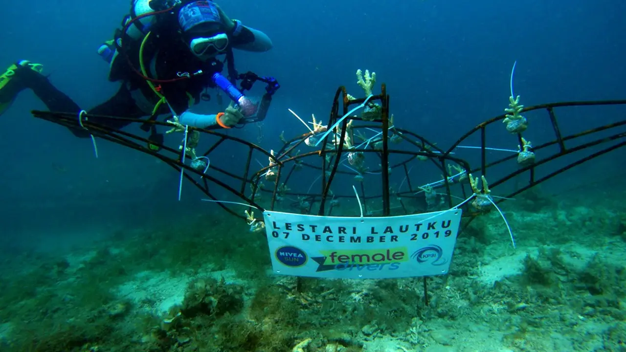 Female Divers