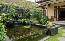 7 Model Kolam Ikan Dangkal yang Aman untuk Anak, Estetik dan Bikin Rumah Makin Cantik