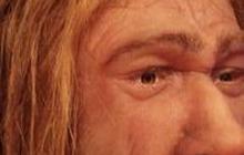Kotak Misterius di Museum Ini Berisi Puluhan Kerangka Manusia Neanderthal yang Hidup 50.000 Tahun Lalu, Begini Bentuknya