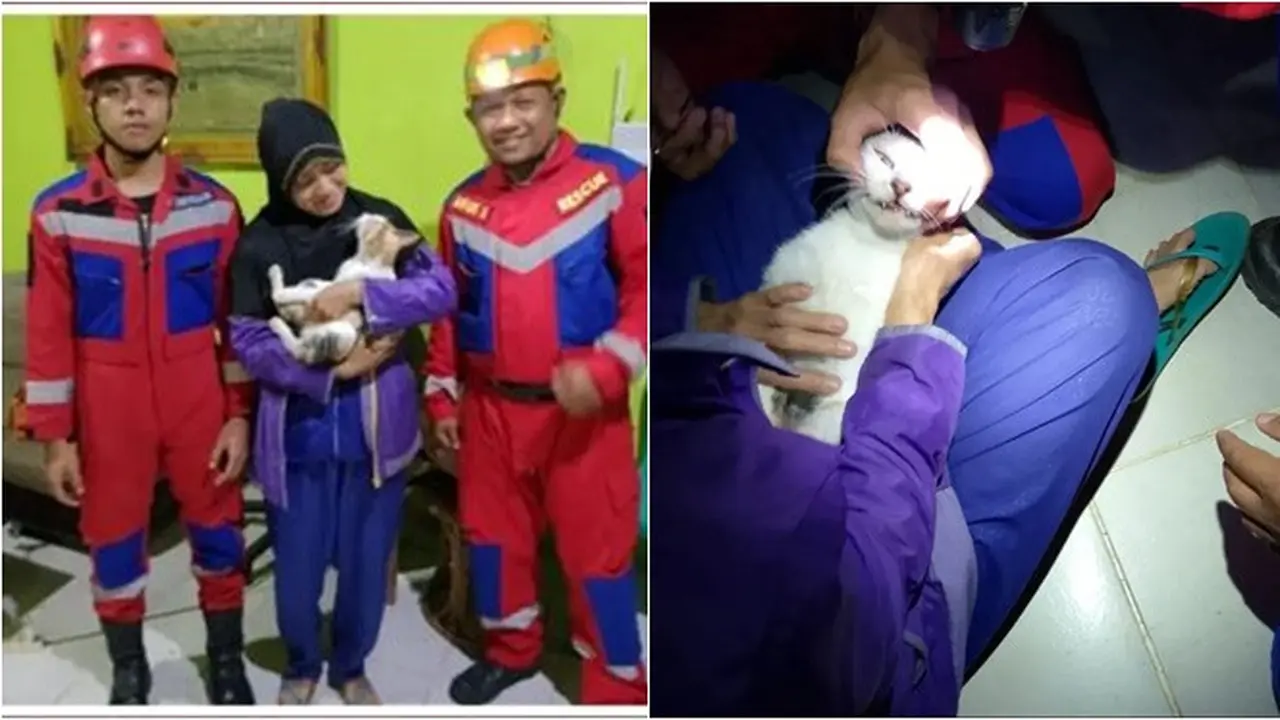 Momen Damkar Selamatkan Kucing Tersedak Tulang Ikan, Berlangsung Dramatis