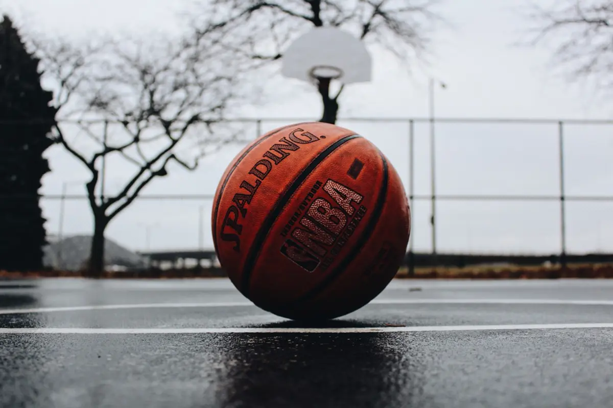 Ilustrasi Basket