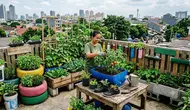 7 Inspirasi Urban Farming dari Barang Bekas, Sulap Sampah Jadi Kebun Mini