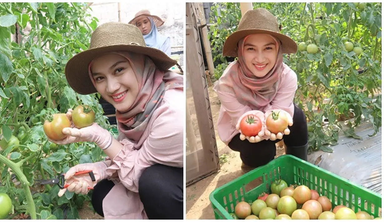 Pernah ungkap dunia pertanian sangat menyenangkan, mantan anggota JKT48 itu juga diketahui mempunyai lahan pertanian plasma di Cianjur. Melody Laksani yang aktif di bidang pertanian membuatnya disebut lebih cocok menjadi Duta Pertanian Milenial daripada Lesti Kejora. Meski Melody dan Lesti Kejora bersahabat, namun netizen tetap membandingkan keduanya, apalagi dari soal pencapaian. (Liputan6.com/IG/@melodylaksani92)