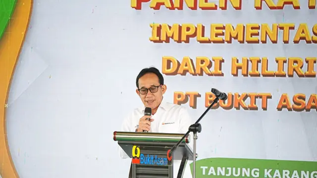 Produktivitas Padi Meningkat, PTBA Gelar Panen Raya Kalium Humat di Lahan 3,5 Hektare