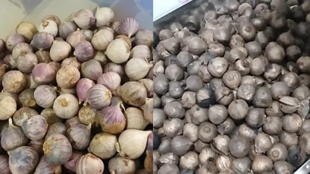 Usaha Black Garlic Adimas Melejit bersama BRI Incubator, Bisnis Kini Lebih Terukur