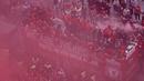 Ribuan fans Liverpool memadati jalan-jalan kota untuk menyambut tim kebanggaan mereka yang melakukan parade di atas bus terbuka pada Minggu (29/05/2022) waktu setempat. Musim ini, The Reds berhasil meraih dua trofi yaitu Piala FA dan Piala Liga Inggris. (AFP/Oli Scarff)