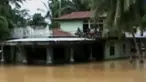 Tidak hanya menenggelamkan rumah, ternak warga pun dipastikan banyak yang mati.