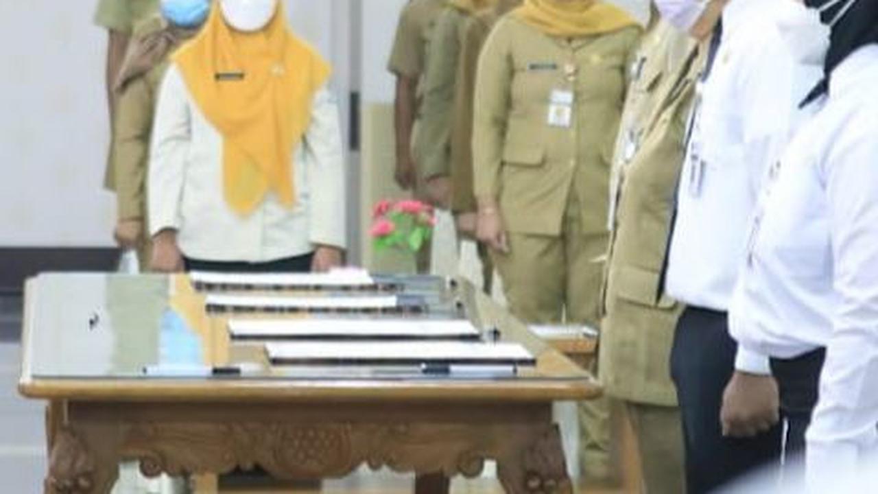 Pemerintah Buka Lowongan CPNS, Butuh 400.000 Guru di Daerah