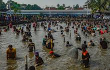 FOTO: Antusiasme Warga Berebut Ikan Saat Tradisi Ngubek Empang Jelang Lebaran Depok