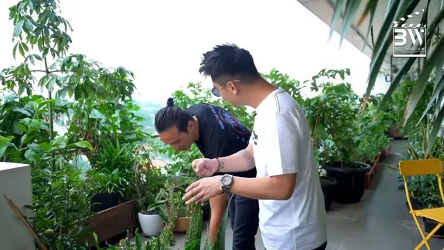 Menengok Kebun Sayuran di Balkon Apartemen Daniel Mananta yang Penuh Tanaman