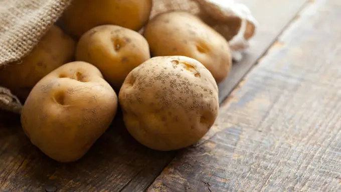 Photo: Copyright Thinkstockphotos.com