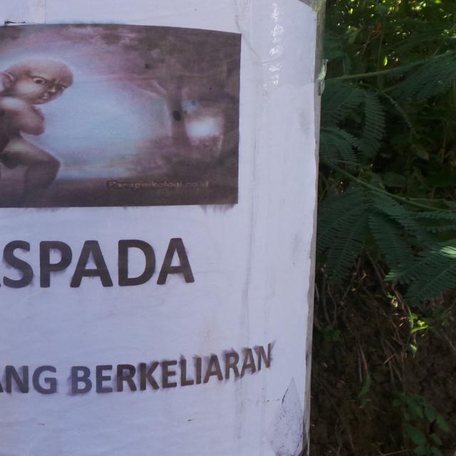 60 Koleksi Hantu Gunung Cikuray Terbaik