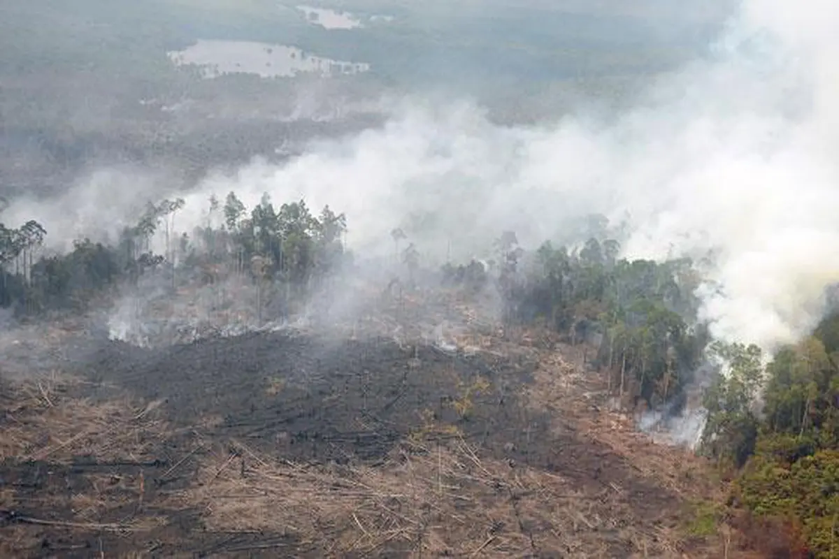 Kabut_asap_Riau