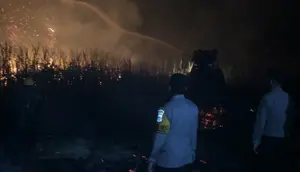 Sempat Padam, Hutan dan Lahan di Mesuji Kembali Membara
