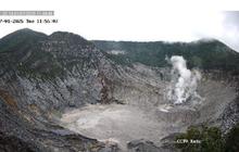 Badan Geologi Catat Lonjakan Signifikan Aktivitas Gempa Gunung Tangkuban Parahu Jelang Libur Akhir Tahun