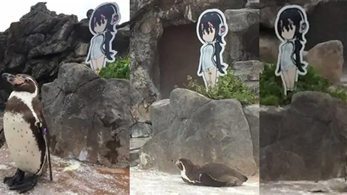 copyright asiantown.net