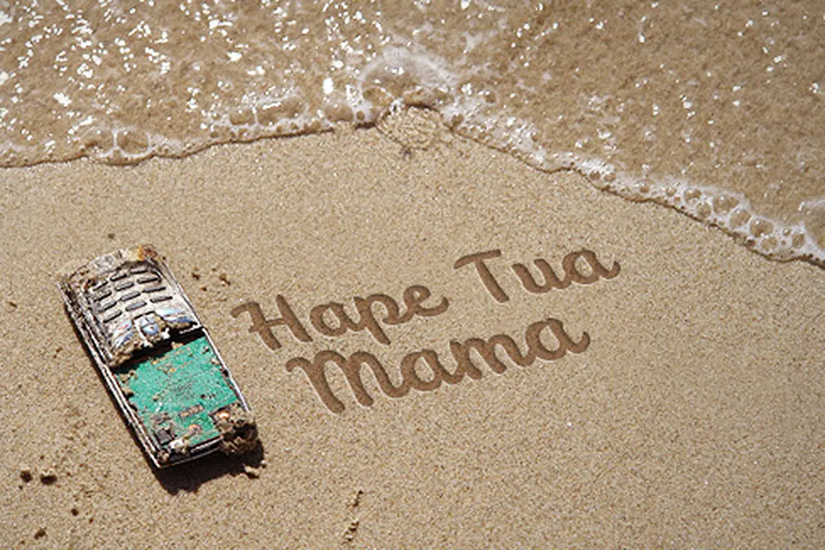 Photo copyright Thinkstockphotos