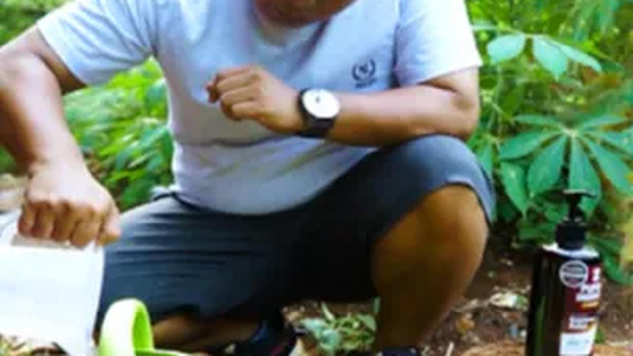 Sukses Berkebun di Rumah, Sampai Menginspirasi Banyak Orang<br>