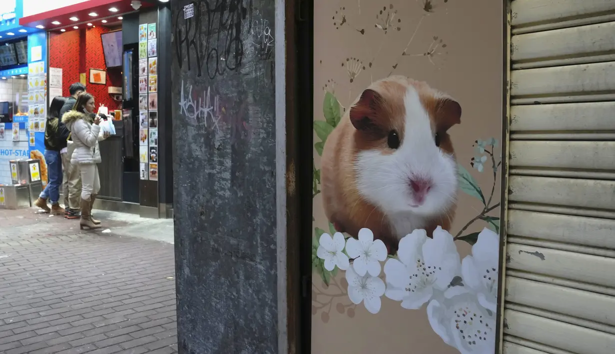 Sebuah toko hewan peliharaan ditutup setelah beberapa hamster peliharaan dinyatakan positif virus corona di Hong Kong, Selasa (18/1/2022). Sekitar 2.000 hewan kecil termasuk hamster usai sejumlah hamster di sebuah toko hewan peliharaan positif Covid-19. (AP Photo/Kin Cheung)