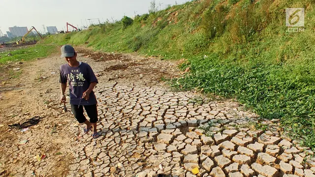 Musim Kemarau, Tanah di Bantaran Kanal Barat Retak