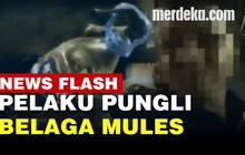 VIDEO: Terungkap Modus Licik Pelaku Pungli di Tanjung Priok