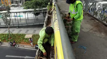 Dinas Kehutanan Provinsi DKI Jakarta menata tanaman yang dipasang di Jembatan Penyeberangan Orang (JPO) Benhil, Jakarta, Sabtu (24/8/2019). Penataan tersebut sebagai bentuk penghijauan dan mempercantik tata Kota Jakarta. (Liputan6.com/JohanTallo)