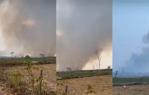Kebakaran Way Kambas Meluas, Warga Waswas Gajah Jadi Buas
