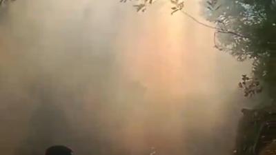 Kebakaran Kawah Ijen Mulai Mereda, Begini Kondisinya