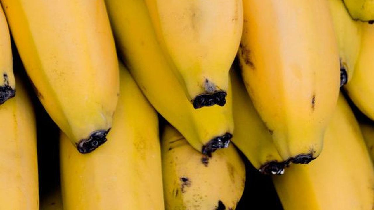 Manfaat Pisang Ambon bagi Kesehatan Tubuh, Sumber Folat yang Baik untuk Ibu Hamil