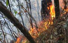 Kebakaran hutan Gunung Lawu meluas, asap menyebar hingga Solo