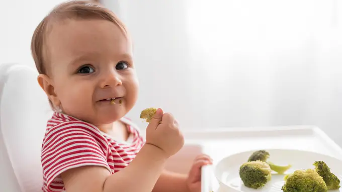 Bayi Memulai Makan