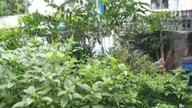 Rumah mendiang Poppy Mercury (YouTube/Ramza TV Studio)