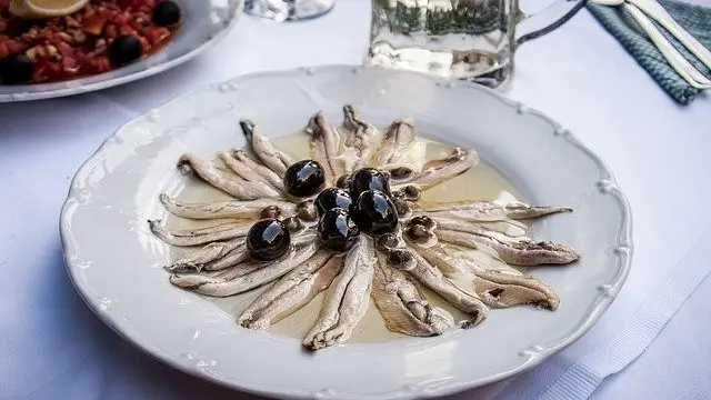Ilustrasi Teri