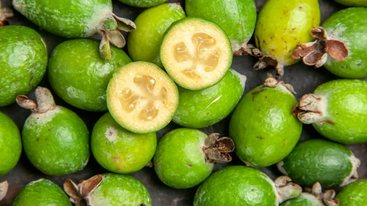 Ilustrasi buah tin, hasil tanaman, pohon