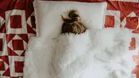 Teknik Tidur Siang 10 Menit yang Bikin Tubuh Lebih Segar Saat Bangun