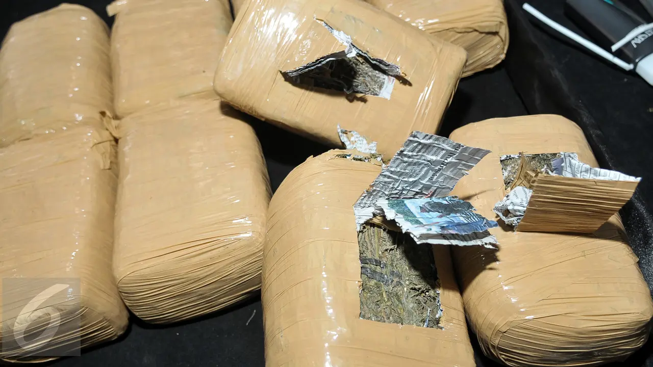 20161005- Polisi Gagalkan Penyeludupan 800 Kg Ganja-Jakarta- Yoppy Renato