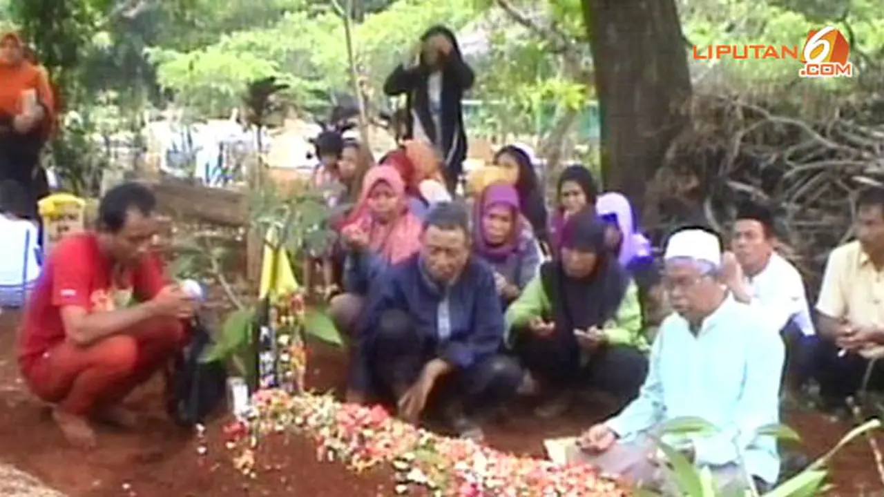miras-oplosan-131013c.jpg