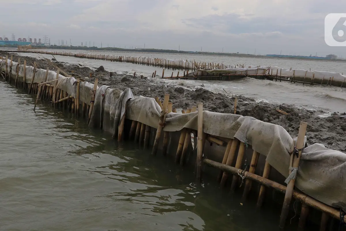 Awalnya Sah, Ini Penampakan Pagar Laut Bekasi yang Kini Disegel Dirjen PSDKP KKP