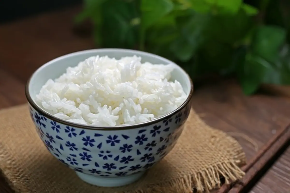Makanan dengan Kandungan Karbohidrat yang Tinggi