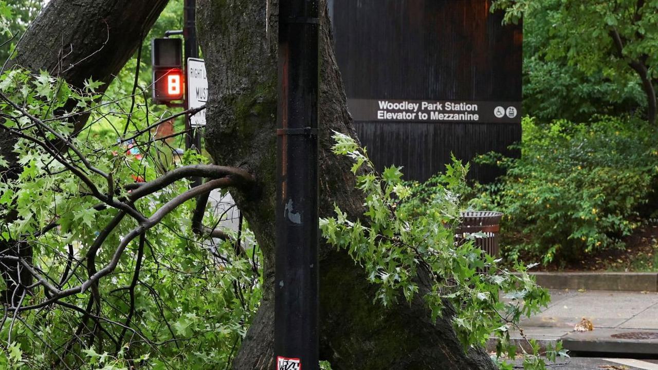Sementara itu beberapa pohon besar juga tumbang di Washington, DC.

Tumbangnya pohon-pohon itu sempat membuat jalan raya di kawasan itu menjadi terhambat.