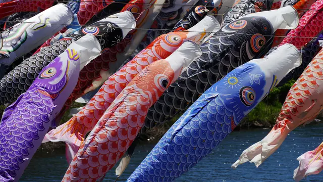 Koinobori Berkibar Sambut Hari Anak-anak di Jepang