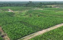 PTPN IV PalmCo dan Serikat Pekerja Perkuat Hubungan Industrial Pasca-Merger