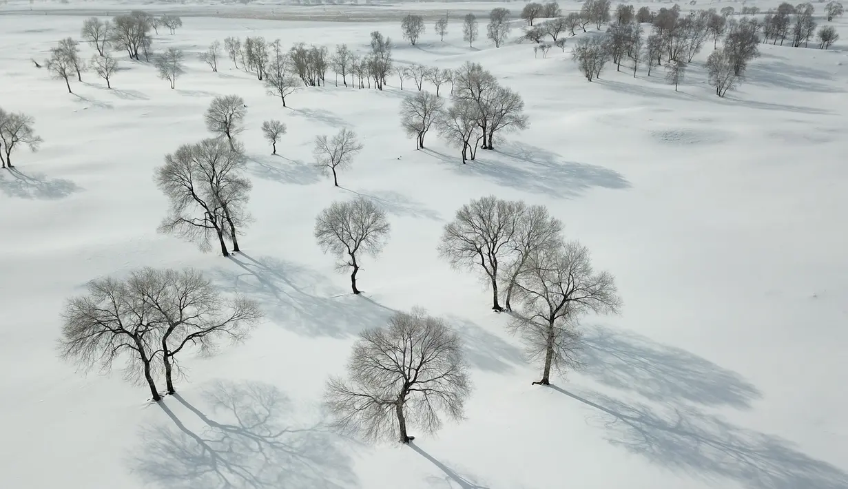 Foto dari udara yang diabadikan pada 4 Desember 2020 ini menunjukkan pemandangan musim dingin di padang rumput Yudaokou di Kota Chengde, Provinsi Hebei, China utara. (Xinhua/Wang Liqun)
